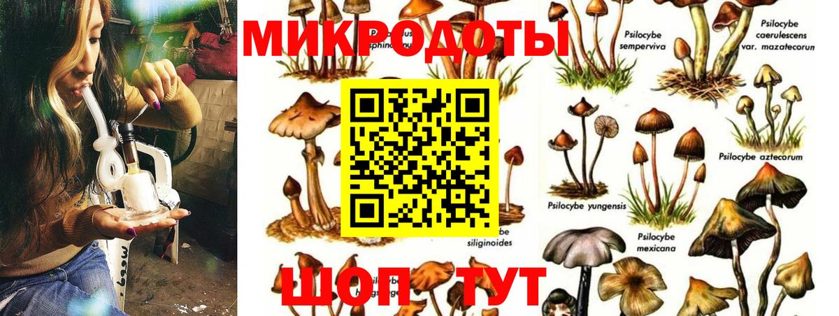 Псилоцибиновые грибы Magic Shrooms  Вход с VPN  Кимры 